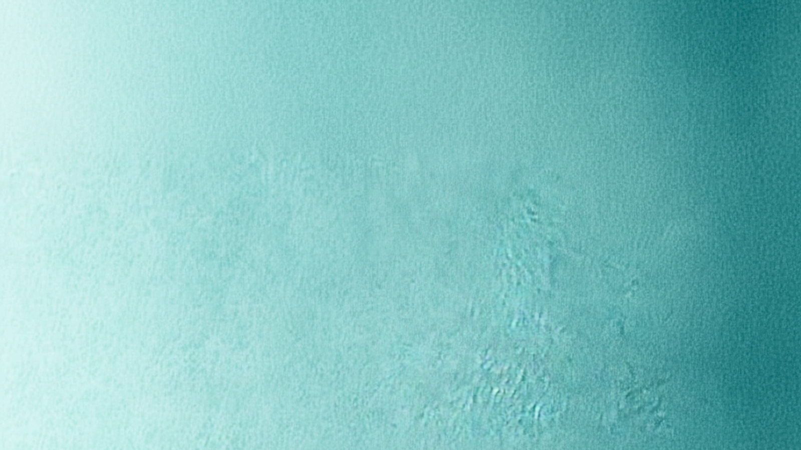 banner_background_citricbee